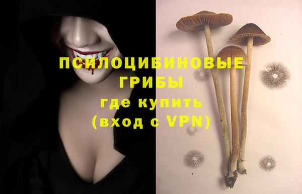 а пвп мука Верхний Тагил