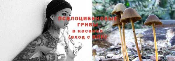 а пвп мука Верхний Тагил