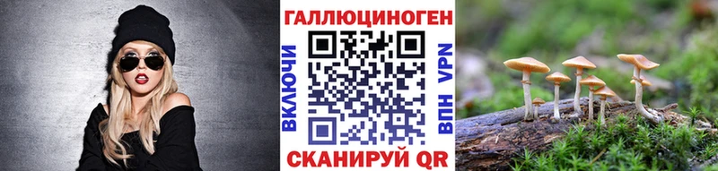 Купить закладки  Верхняя Пышма  Галлюциногенные грибы прущие грибы 