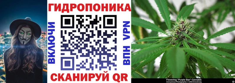 Купить  Верхняя Пышма  Канабис ГИДРОПОН 